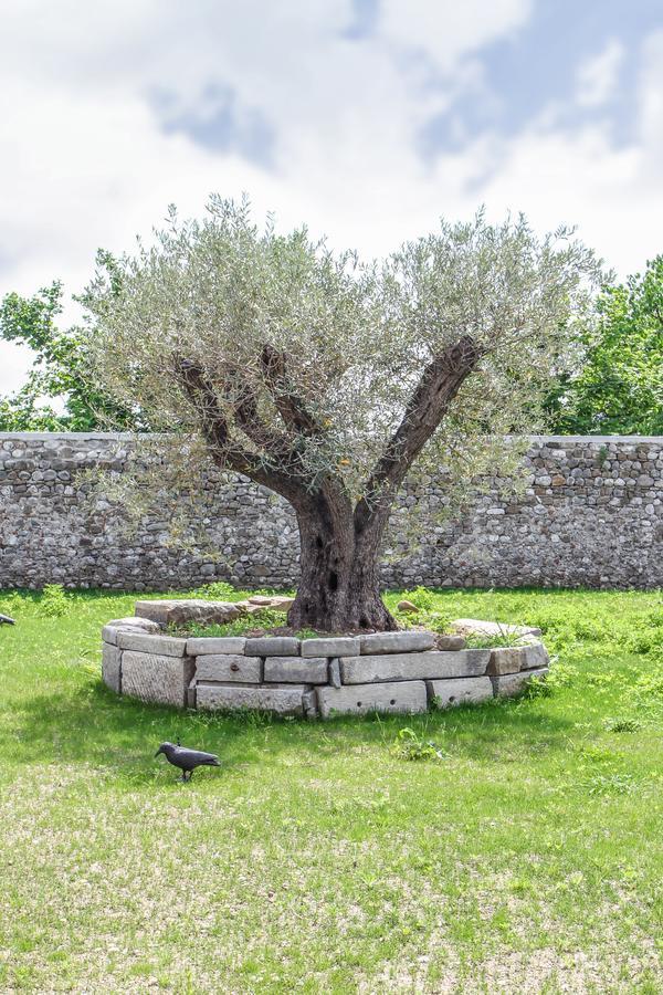 Al Sa Di Te Bed and Breakfast Ούντινε Εξωτερικό φωτογραφία